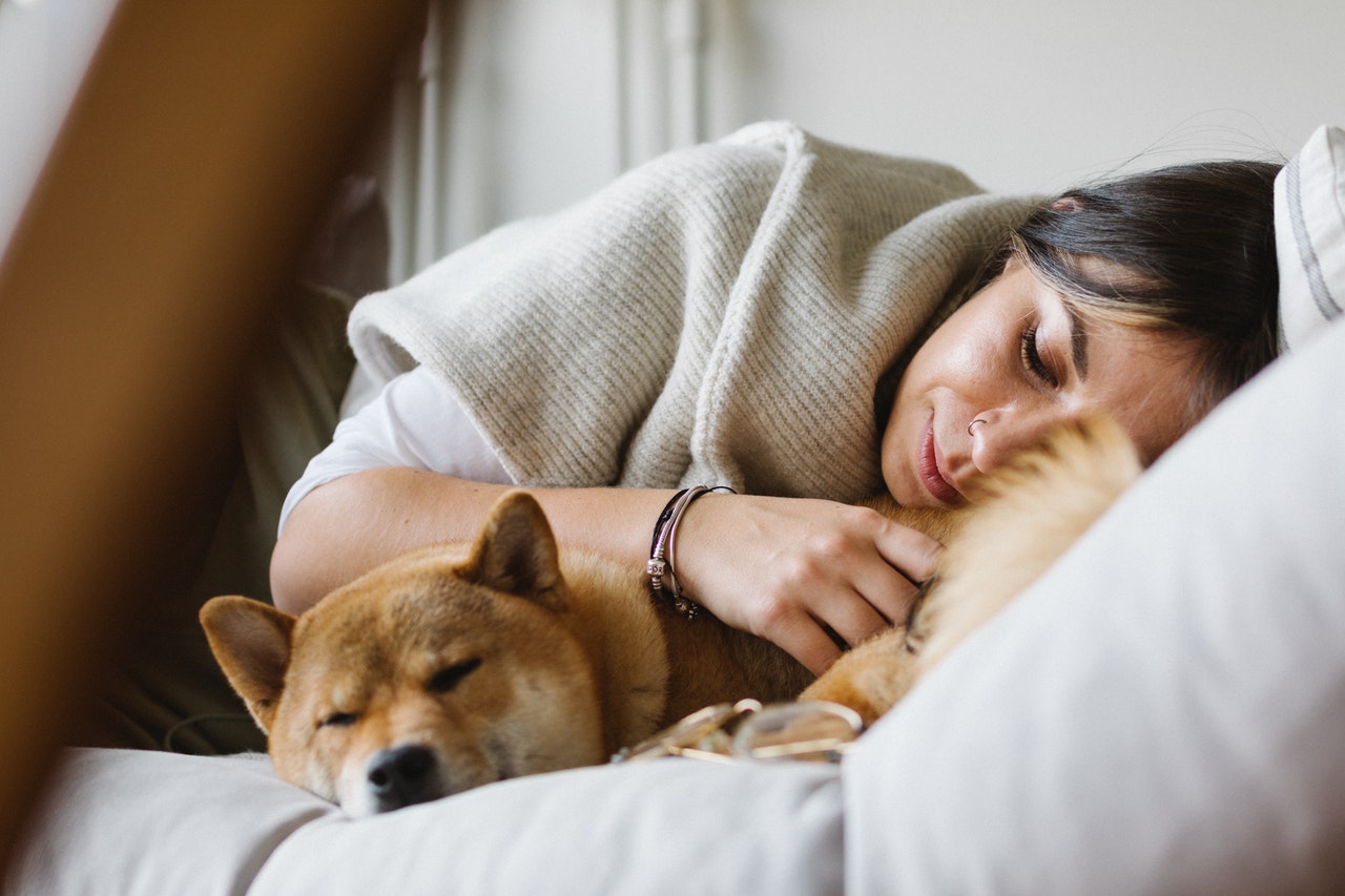 Mit einer Katze oder einem Hund schlafen, ist das gesundheitlich unbedenklich?