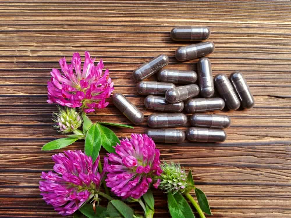 3 Auswahl an pflanzlichen Arzneimitteln zur Überwindung von Osteoporose-Symptomen