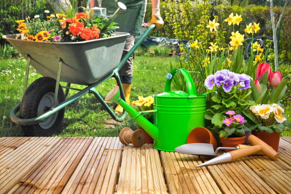5 Vorteile der Gartenarbeit für die körperliche und geistige Gesundheit