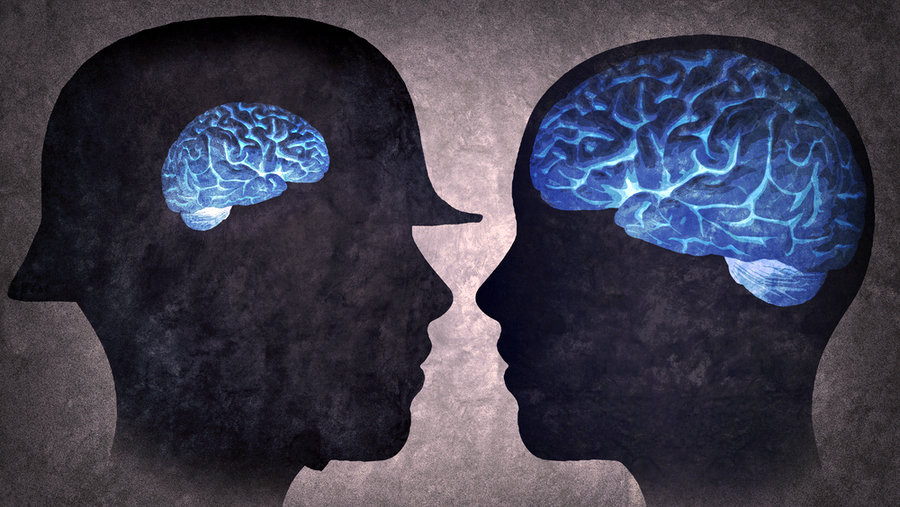 Почему у всех людей разный размер мозга?