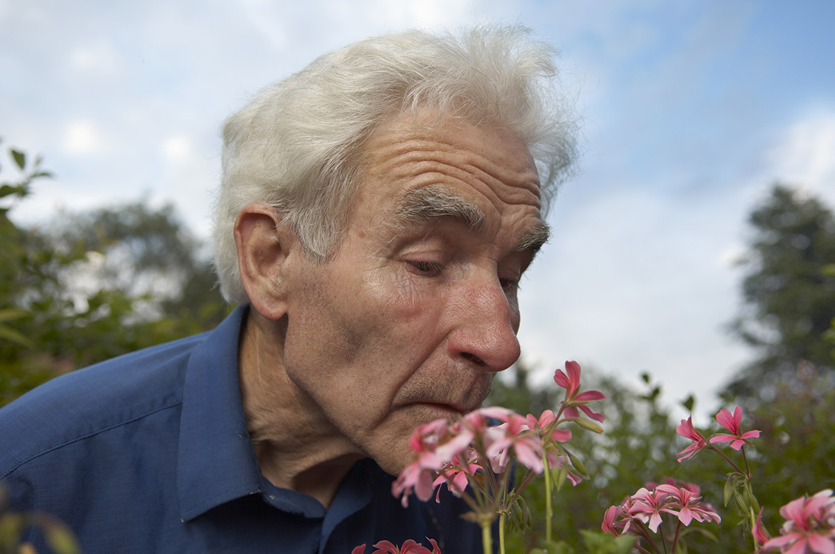 ¿Qué son los medicamentos a base de plantas y los medicamentos alternativos para el Parkinson?