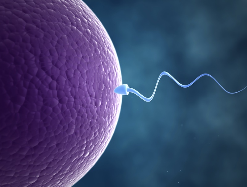 ¿A qué edad se considera que los hombres son los más fértiles y tienen la mejor calidad de esperma?