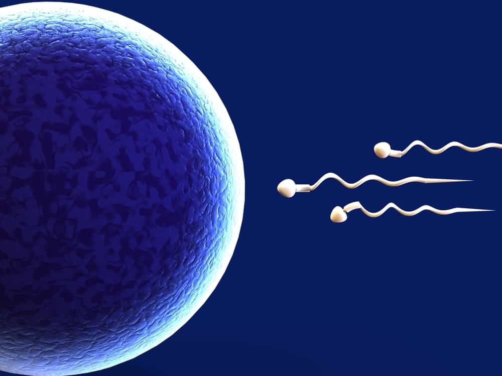 Lernen Sie Spermizid kennen, ein empfängnisverhütendes Mittel, um Sperma abzutöten