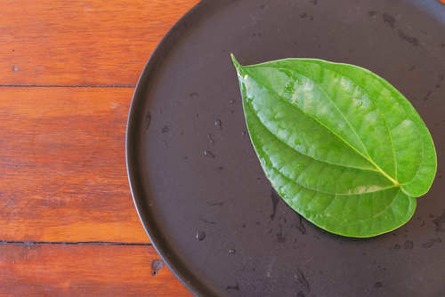 Знайте 5 преимуществ листьев бетеля для преодоления симптомов синусита