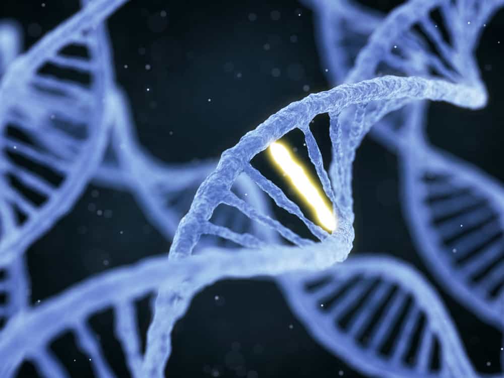 뉴트리게노믹스: 유전자에 따른 음식 섭취
