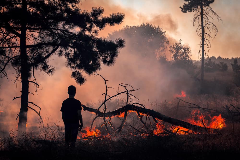 Gefahren, die durch das Einatmen von Waldbrandrauch entstehen können