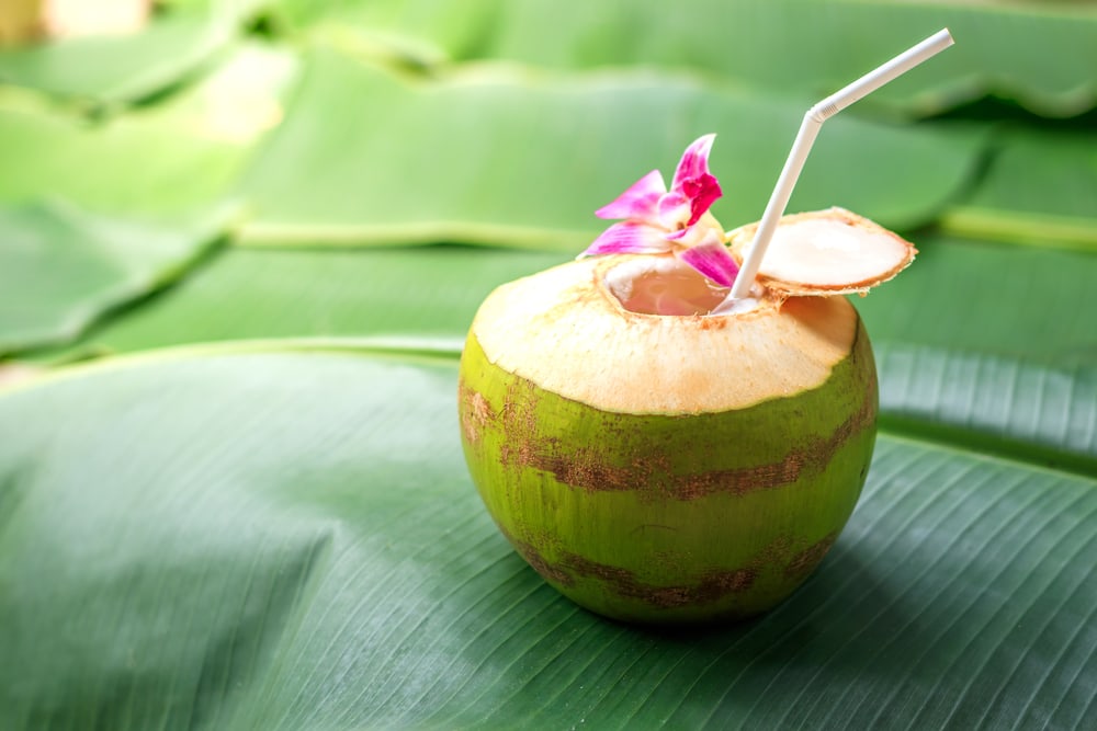 체중 감량을 위한 코코넛 다이어트 가이드
