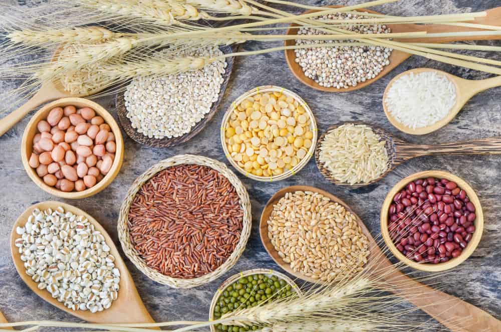 건강하려면 쌀을 밀로 바꿔야 할까요, 현미로 해야 할까요?