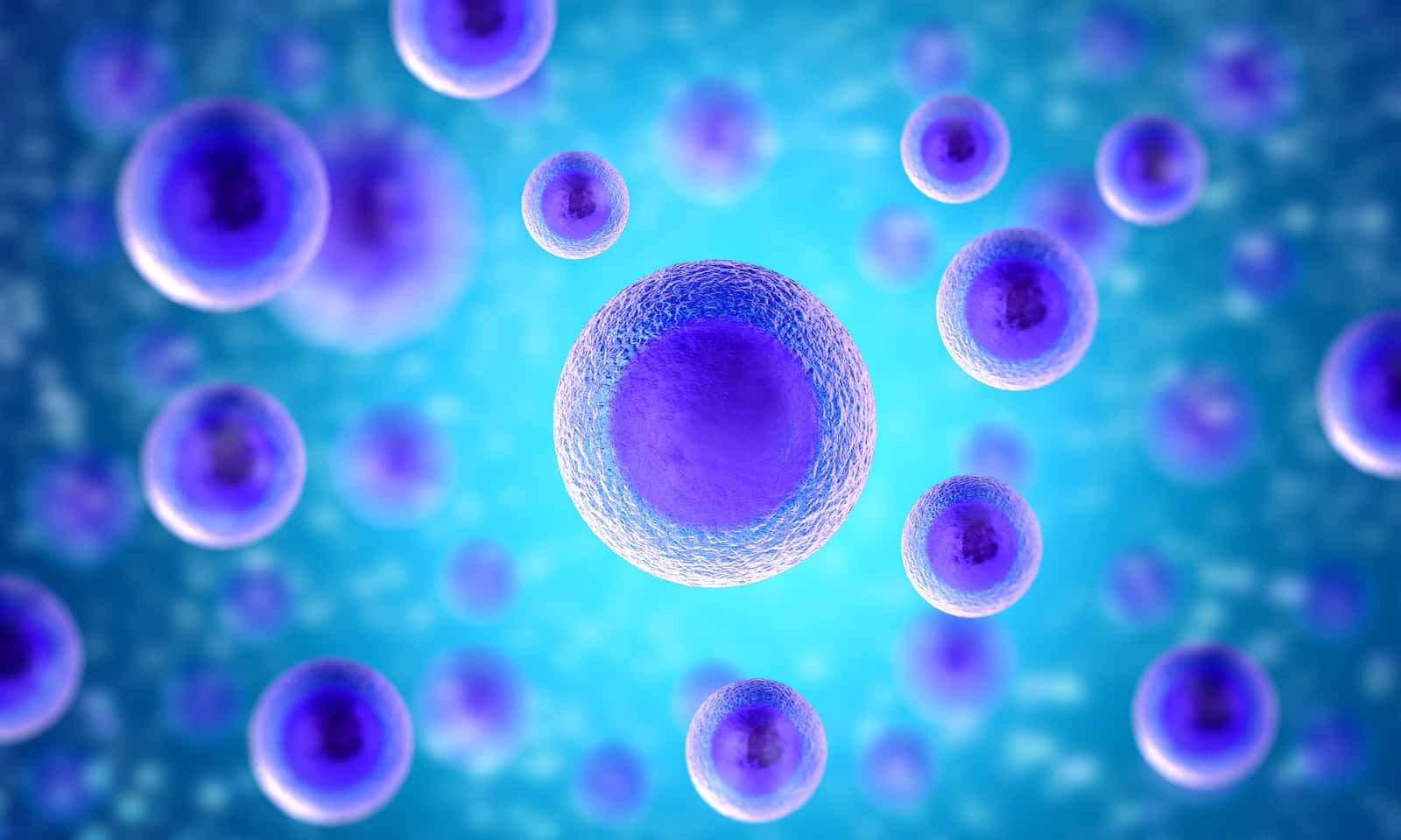 Wie viele Zellen gibt es eigentlich im menschlichen Körper?