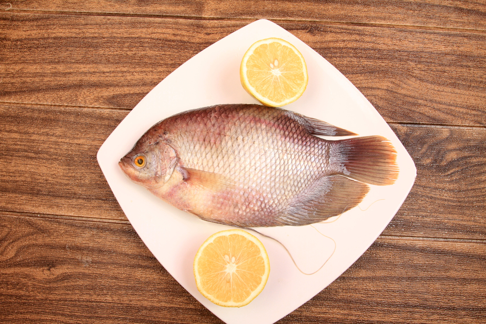 5 Vorteile von Süßwasserfisch für die Gesundheit