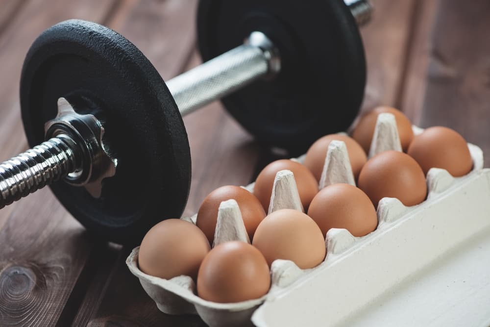 계란을 먹으면 근육이 커질 수 있다는 것이 사실입니까?