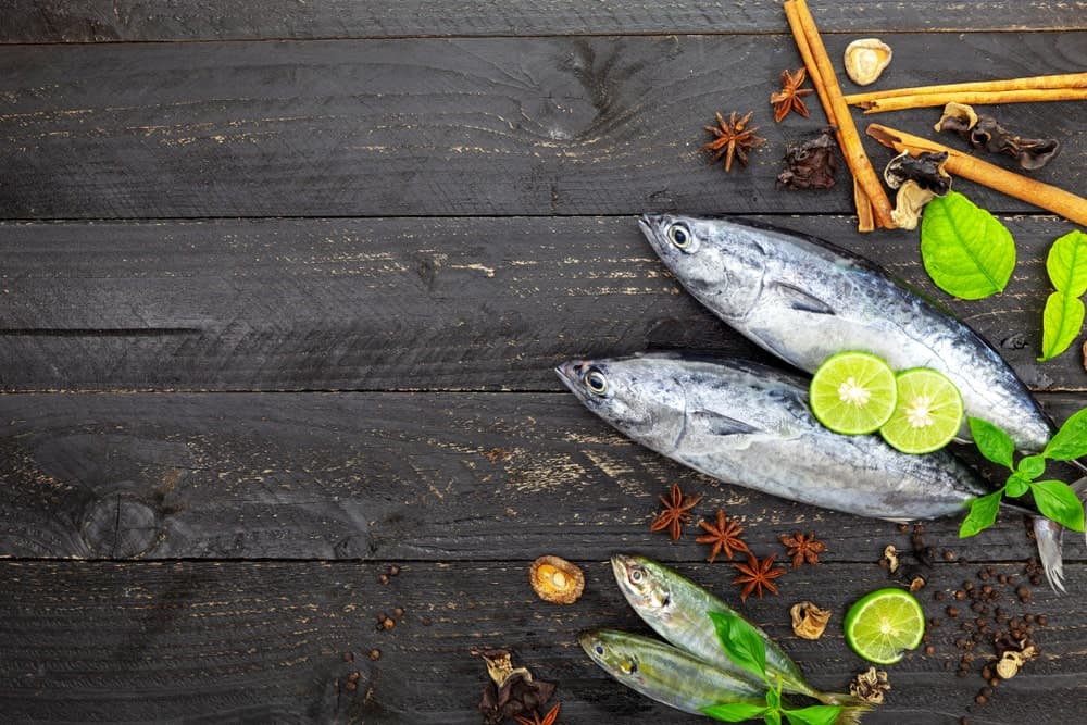 단백질과 오메가-3의 공급원인 가다랑어의 6가지 건강상의 이점
