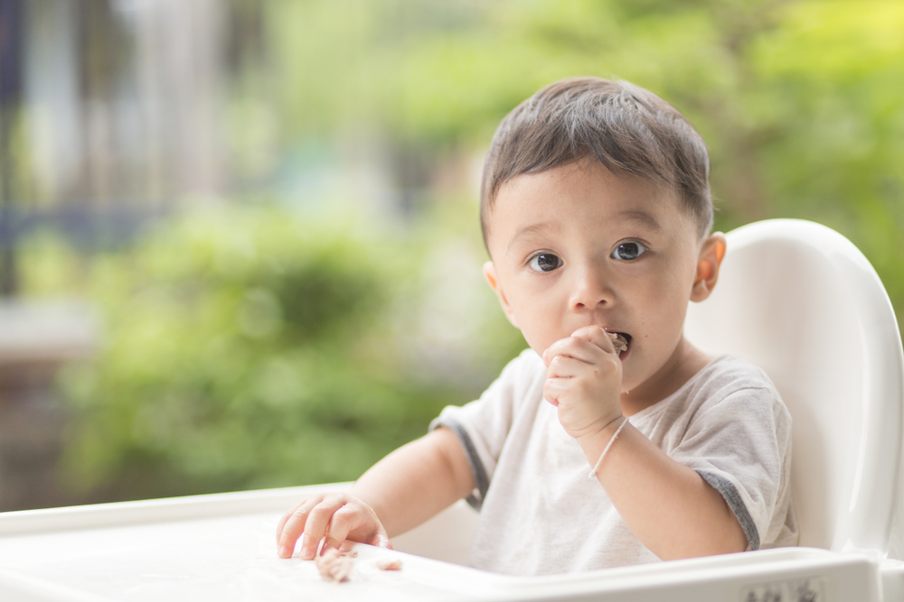 영양이 풍부하여 아기 건강을 위한 메기의 6가지 이점을 놓치지 마세요.