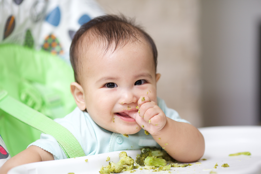 7 opciones de recetas simples de carne de res MPASI para aumentar el peso del bebé