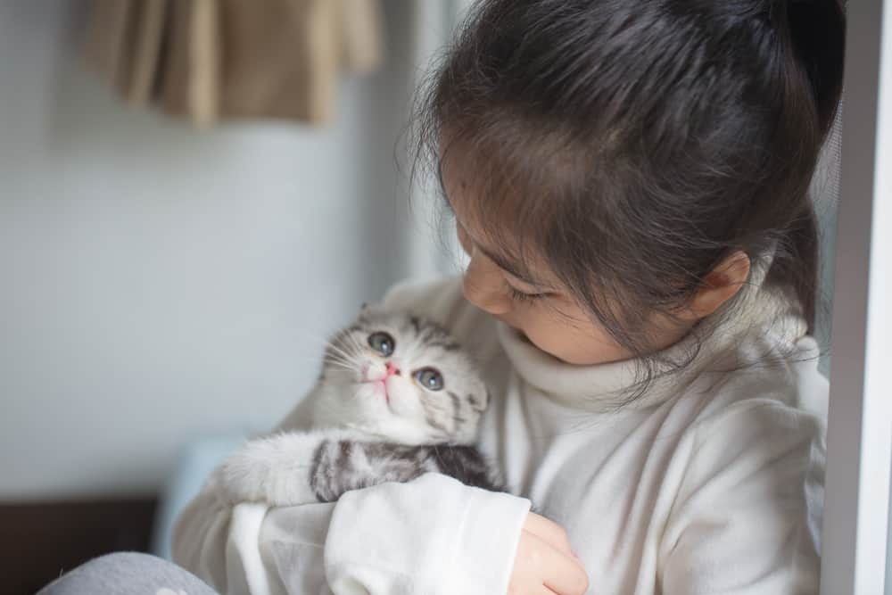 5 ziekten van katten die op uw kind kunnen worden overgedragen