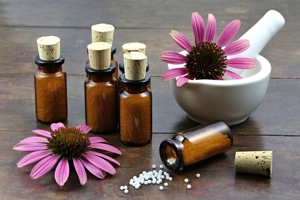 5 Vorteile von Echinacea-Blüten für die Körpergesundheit