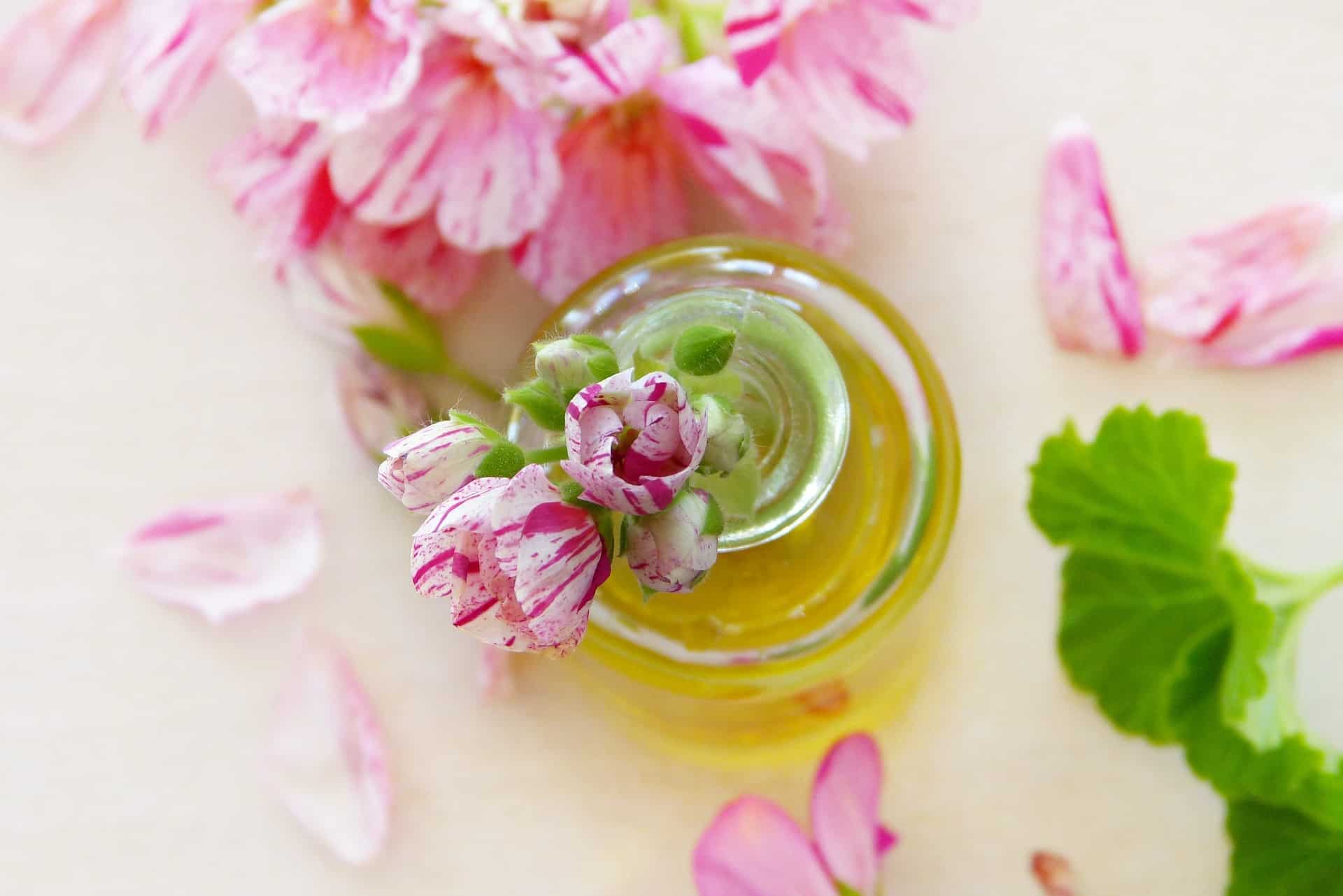 4 Vorteile von Geranienblütenöl für die Gesundheit