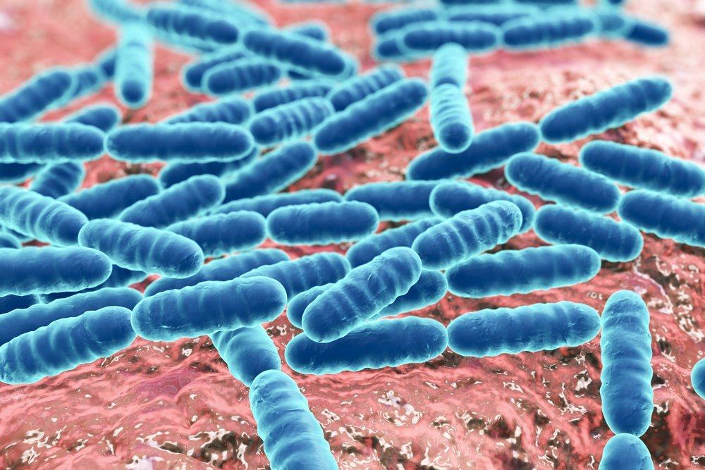 Schlechte Bakterien in unserem Körper, woher kommen sie?