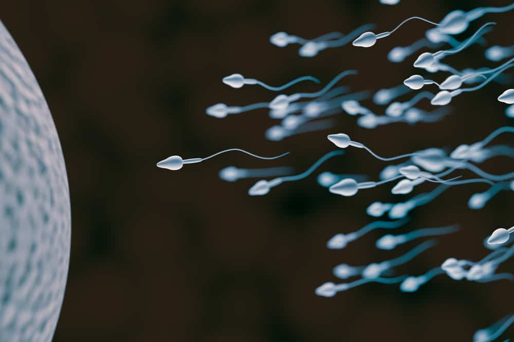Was sind die Merkmale von ungesundem Sperma?